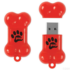 PZM1006 Customized USB Flash Drive